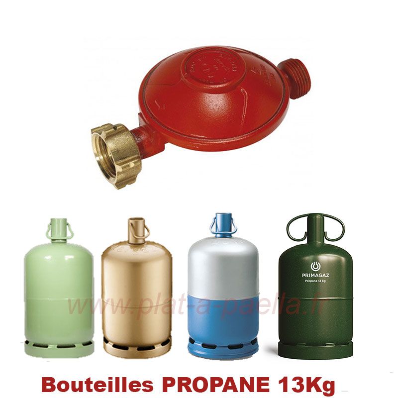 Favex - Détendeur propane NF bouteille 13kg – 1,5kg/h - 37mbar Favex